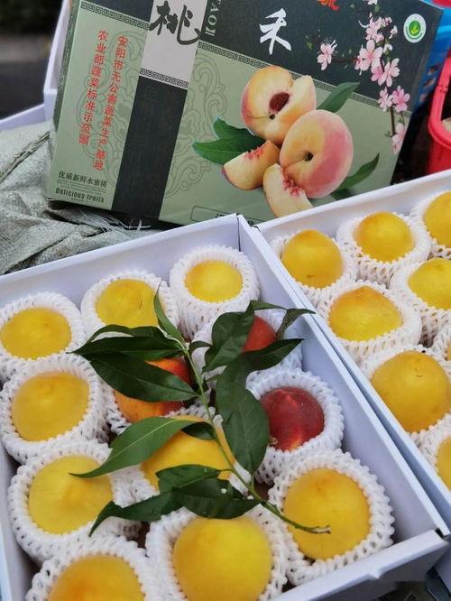 娱乐吃瓜号怎么做,如何轻松成为娱乐圈的“情报达人”