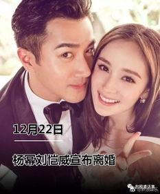 吃瓜系统娱乐圈小说合集