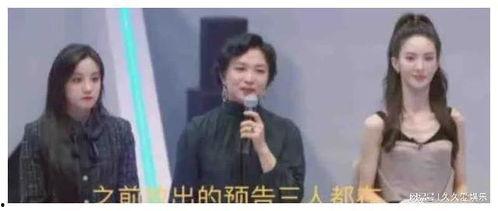 娱乐吃瓜君镜头下,娱乐吃瓜君镜头下的娱乐圈风云录